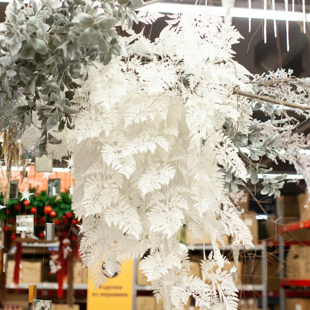 Новогодние ветки аспарагуса. Заснеженные